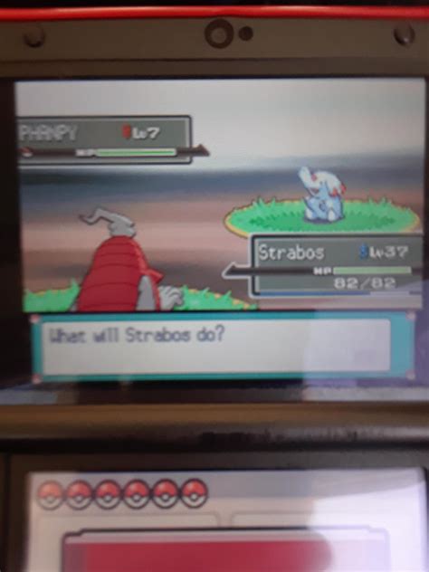 [Gen 4] Found a shiny Phanpy after a chain of 10! : r/ShinyPokemon