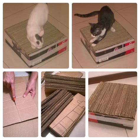 imgur.com | Cardboard cat scratcher, Cat scratcher, Diy cat scratcher