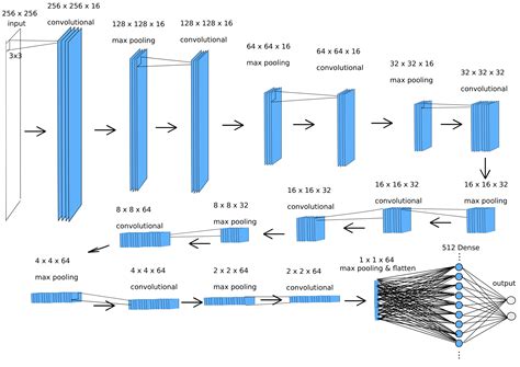 Image Classification with Convolutional Neural Networks | Form and Formula