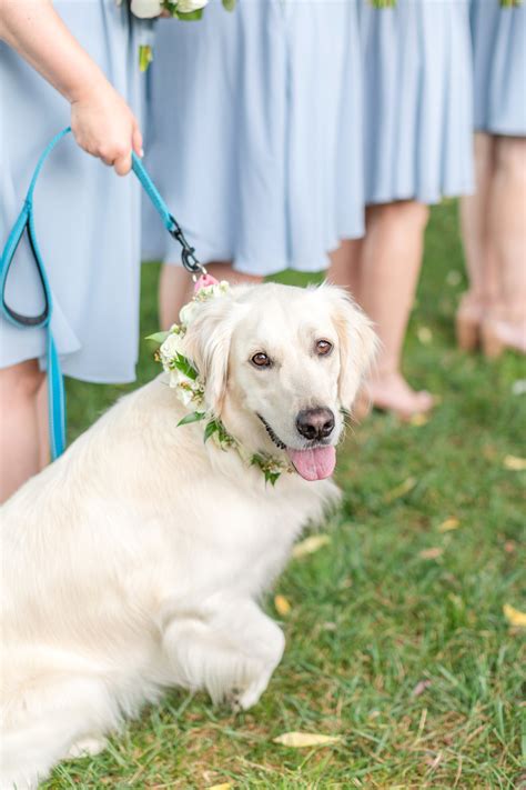 Joe & Kelly {Pond View Farm in White Hall, MD} — Anna Grace Photography