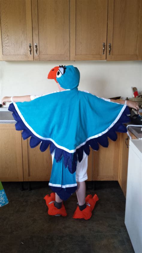 Pin by Kattie Bloomfield on Dress up box | Lion king costume, King costume, Zazu lion king