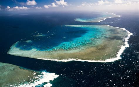 An aerial view of the Great Barrier Reef. | Great barrier reef, Aerial view, Marine