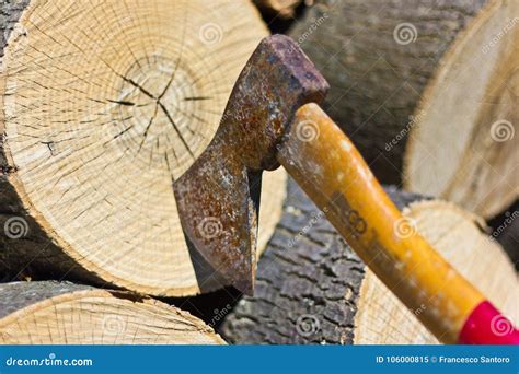 Cutting trees with axe stock image. Image of grip, trunk - 106000815