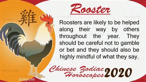 Rooster 2020 Horoscope: Constant Changes - SunSigns.Net