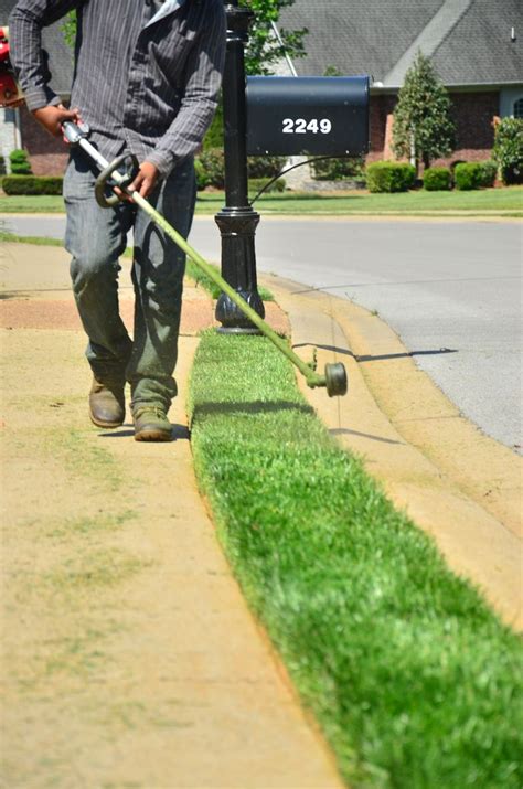 Lawn Edging | Lawn care, Lawn edging, Lawn