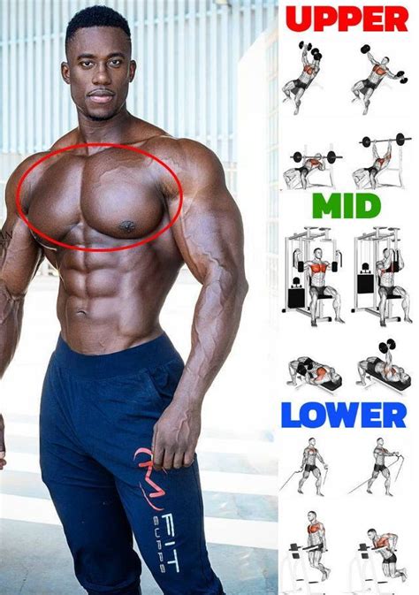 The Chest Workout To Build A Bigger Stronger And Wider Chest ...