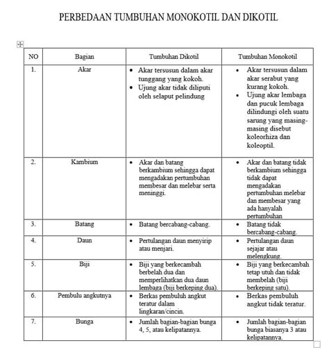 7 Perbedaan Antara Monokotil dan Dikotil (Bagan dan Gambar) - AAcial - AAcial