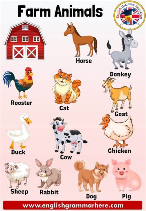 Farm Animals Names, Definition and Examples - English Grammar Here