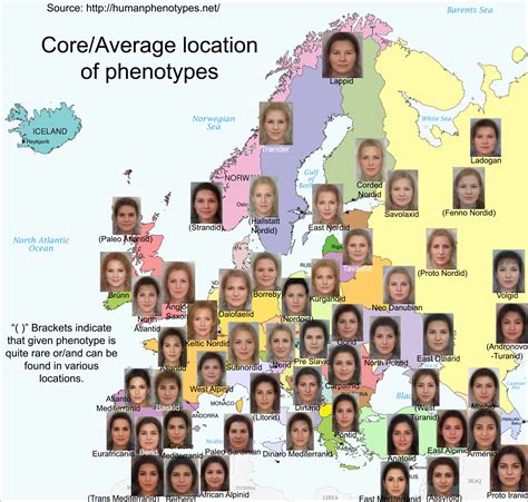 Human Phenotypes Mapped - Vivid Maps