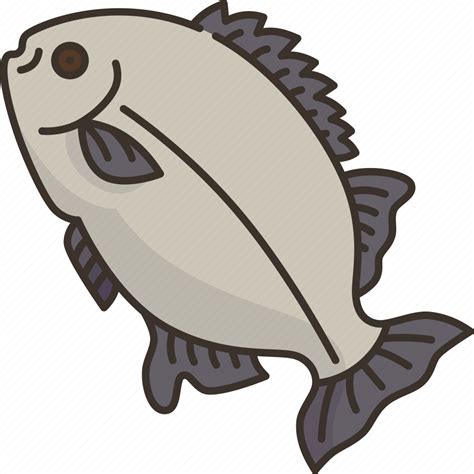 Fish, galjoen, marine, animal, africa icon - Download on Iconfinder