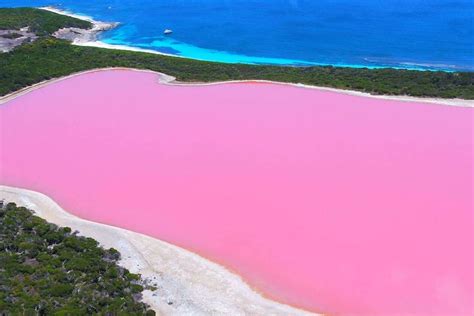 Tourists arrive disappointed to find Pink Lake isn't pink. Scientists ...