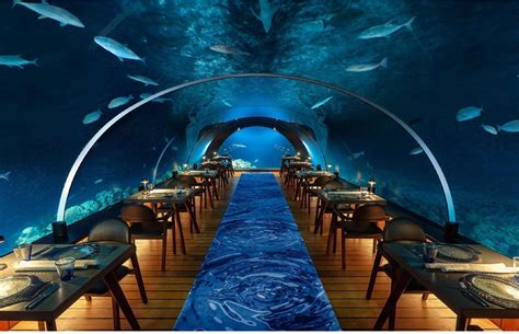 16 Of The World's Most Immersive Underwater Restaurants