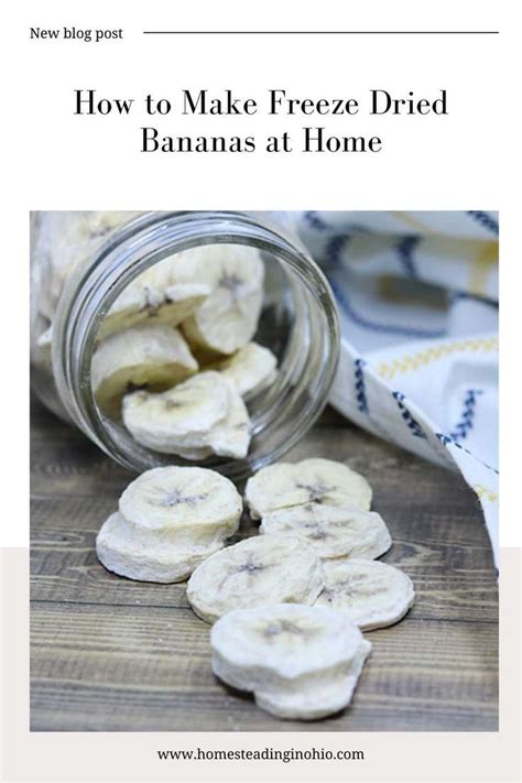 How to Make Freeze Dried Bananas | Recipe | Dried bananas, Dried banana ...