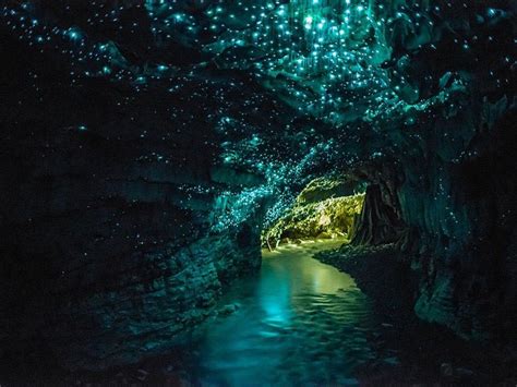 WAIKATO – Waitomo Glowworm Caves, Waitomo, North Island, New Zealand. | 여행지, 방문할 장소, 아름다운 장소