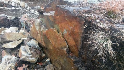 Is this iron oxidation in this recently blasted rock (which I assume is ...