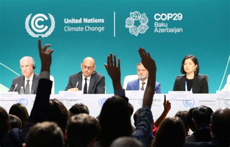 COP29 | UN News