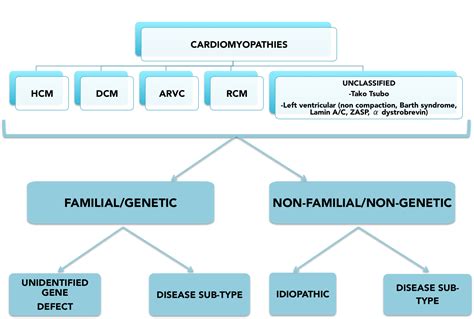 Cardiomyopathy Types of cardiomyopathy