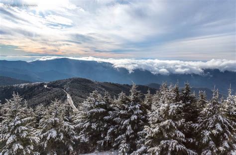 Mt. Mitchell Receives Record Snowfall During Winter Storm Jonas - Blue ...