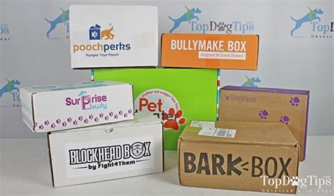 15 Best Dog Subscription Box (Updated 2023)