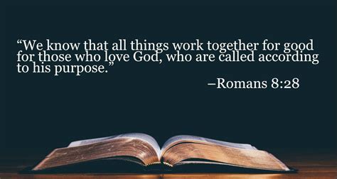 Your Daily Bible Verses — Romans 8:28 — Integrated Catholic Life™