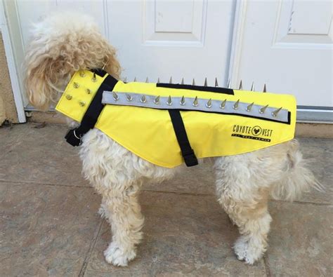 Coyote roller for containing fence-hopping pets - videos and photo ...