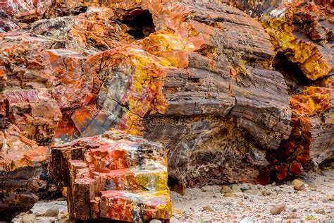 All you need to know about visiting Petrified Forest National Park - The Points Guy