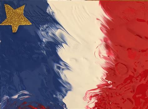 Acadian Flag Art Painting by Aliza Marie