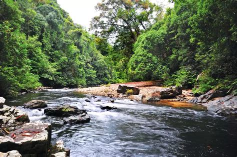 Taman Negara National Park: Top 10 Things To Do - Mutiara Taman Negara