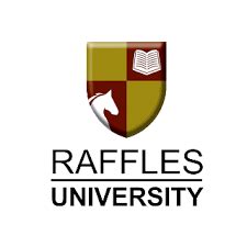 Raffles University Edited Book on Artificial Intelligence and Law