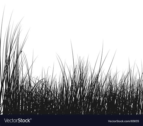 Grass silhouette Royalty Free Vector Image - VectorStock