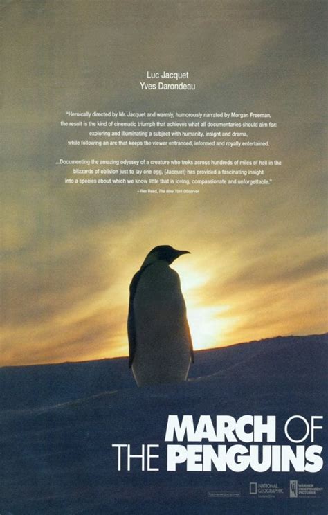 March of the Penguins - movie POSTER (Style K) (11" x 17") (2005 ...