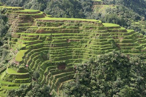 Banaue Rice Terraces - Wikipedia