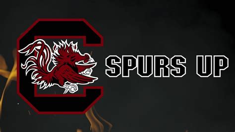 [100+] South Carolina Gamecocks Wallpapers | Wallpapers.com