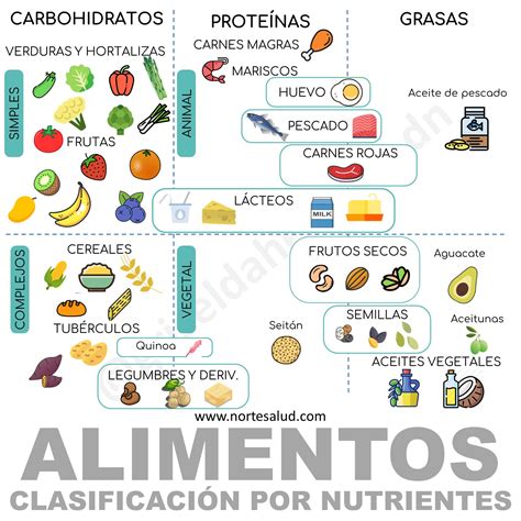 Clasificación de los alimentos según sus nutrientes - Norte Salud Nutrición