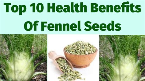 Top 10 Health Benefits Of Fennel Seeds - YouTube