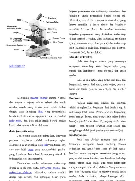 Bagian Permukaan Dan Mikroskop Monokuler Dan Binokuler