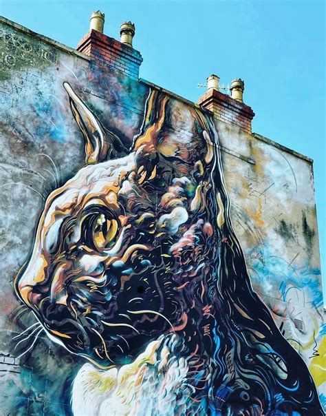 Street art cat by C215 | Street art, Amazing street art, Street art photography