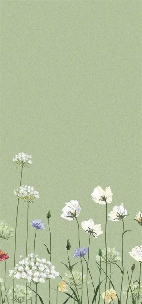 Sage Green Iphone Wallpaper 5 | Simple phone wallpapers, Sage green wallpaper, Iphone wallpaper ...