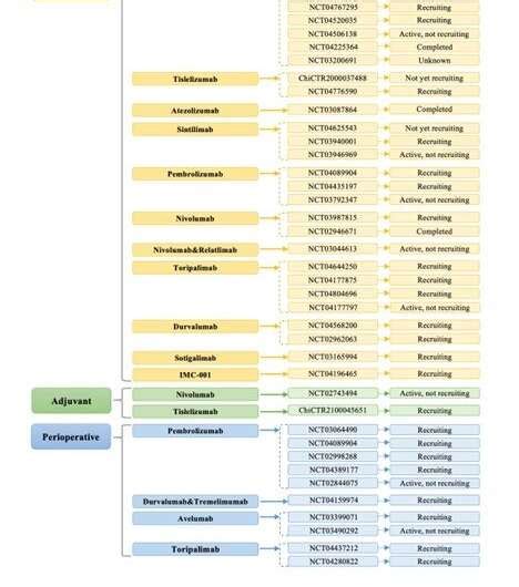 Review covers progress in immunotherapy for esophageal cancer