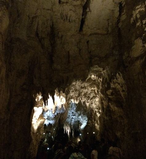 Waitomo Caves