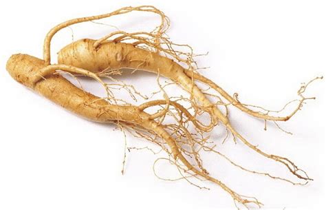 Panax Ginseng: Uses, Benefits, Side Effects, Dosage - Anarchism Today