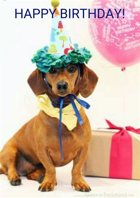 Pin by Shirley Ross on Dachshunds | Happy birthday dachshund, Dachshund birthday, Happy birthday ...