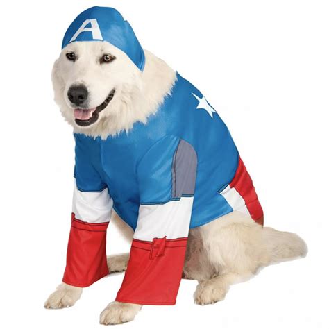 20+ Cute Halloween Costumes for Extra Large Dogs (up to 3XL!) - Hey, Djangles.