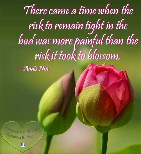 114 best images about Flower Quote on Pinterest | Quotes positive, Rumi quotes and Songs