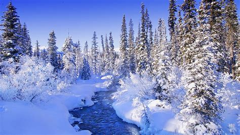 Steamy river by the snowy forest Nature [] for your , Mobile & Tablet ...