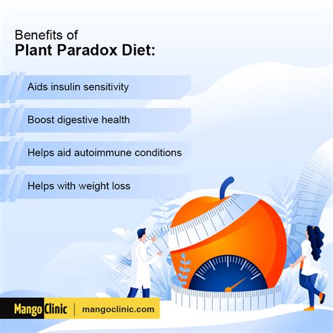 The Plant Paradox Diet: Does it Work, and Is It Sustainable?