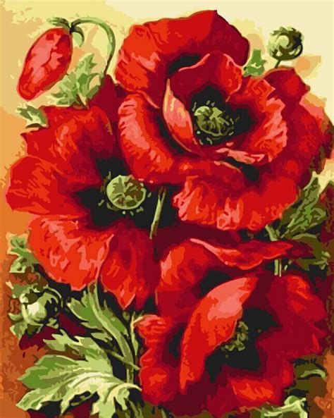 New Digital DIY Oil Paintings By Numbers Canvas Handpainted Abstract Poppy Flower Painting For ...