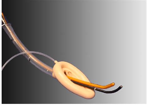 Insertion of flexible bronchoscope and bougie through the LMA Classic TM | Download Scientific ...