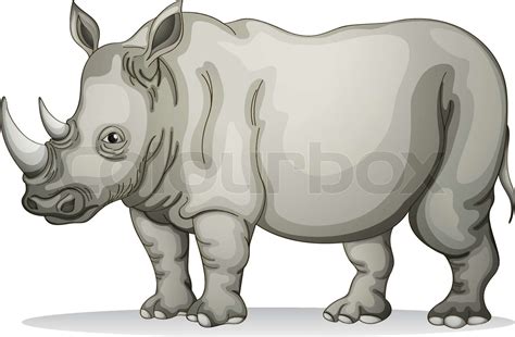 Rhinoceros | Stock vector | Colourbox