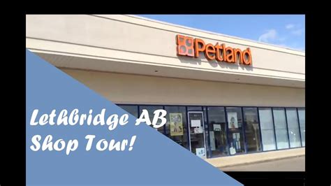 PetLand Lethbridge Alberta Tour - YouTube